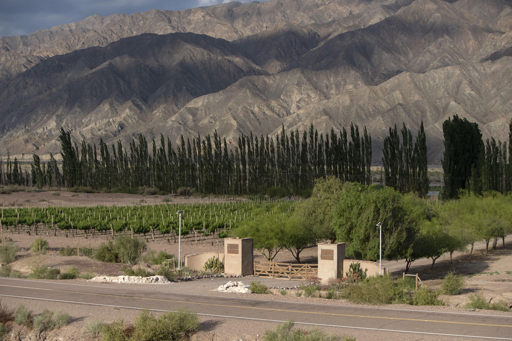 Bodega del Carmen, un oasis llamado Barreal 2