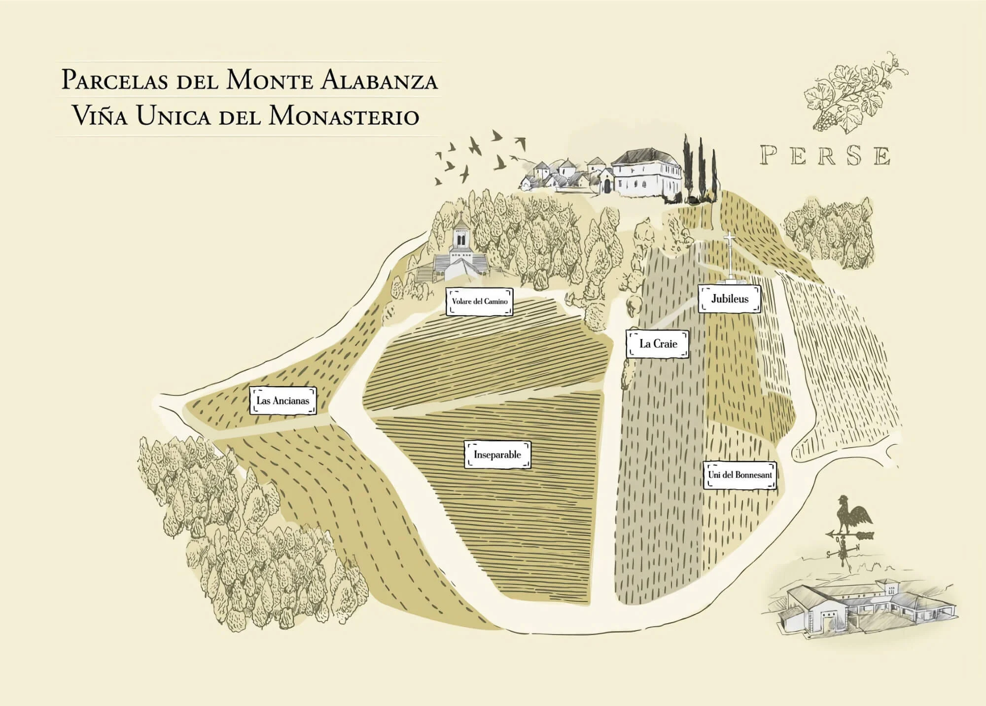 Mapa de las parcelas de PerSe Vines.