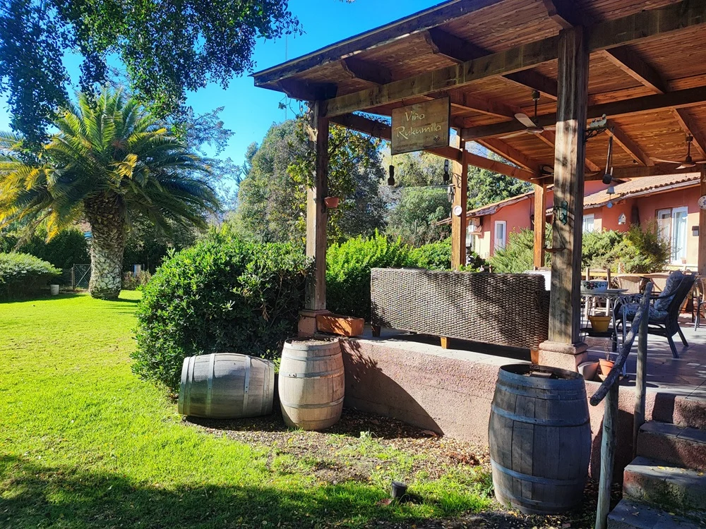 Rukumilla, el vino de garaje que nace con diez años 2