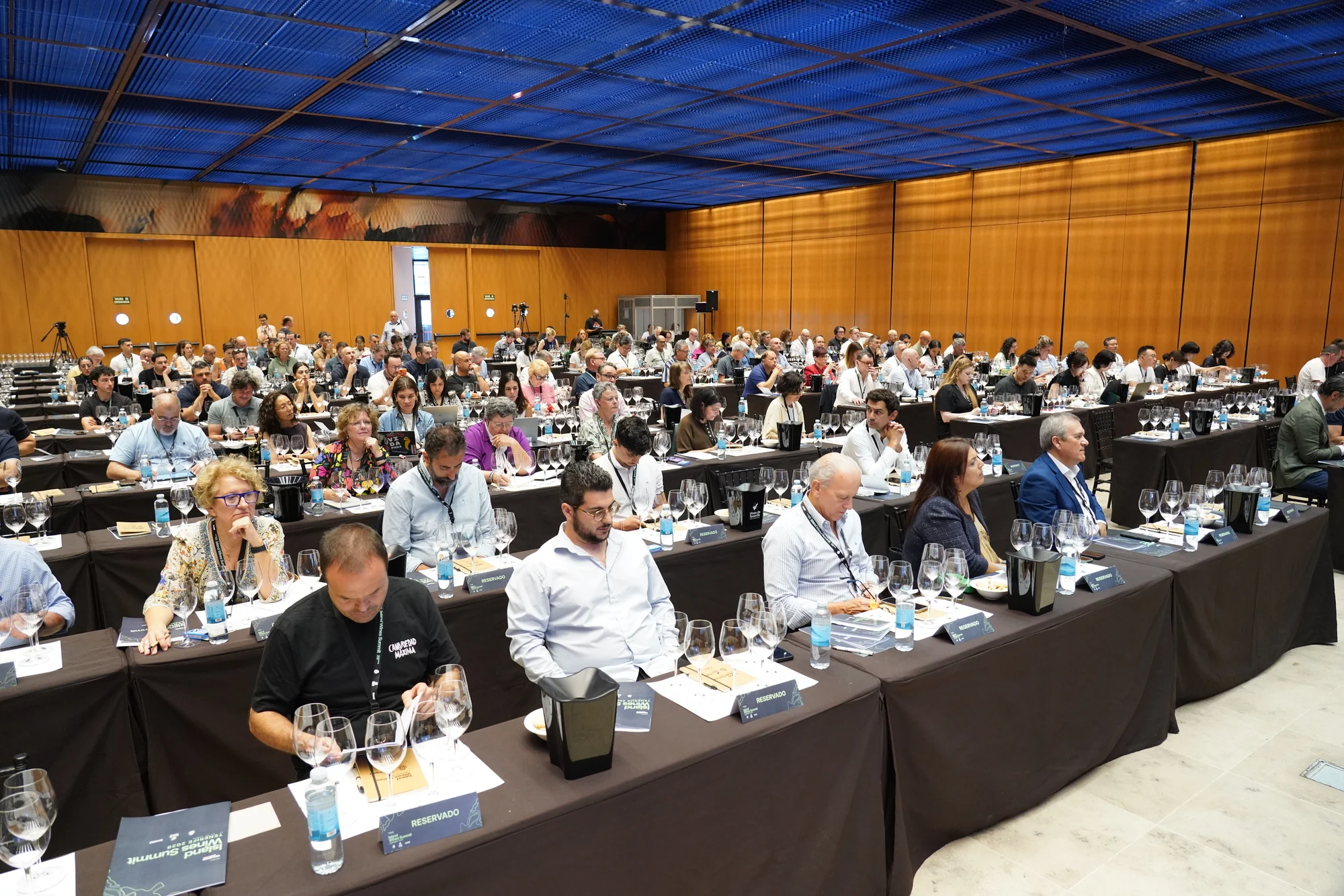 Un auditorio repleto de profesionales internacionales del vino siguió las jornadas con interés.
