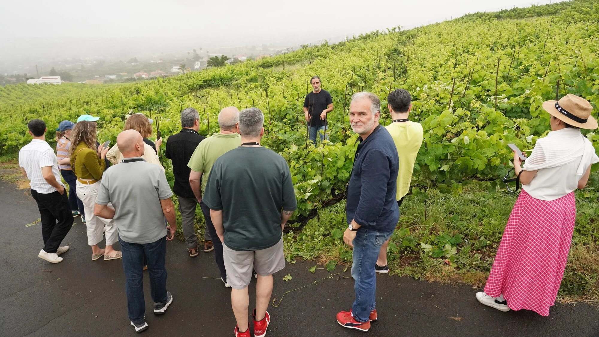 Island Wines Summit genera en Tenerife una comunidad global para los vinos insulares 0