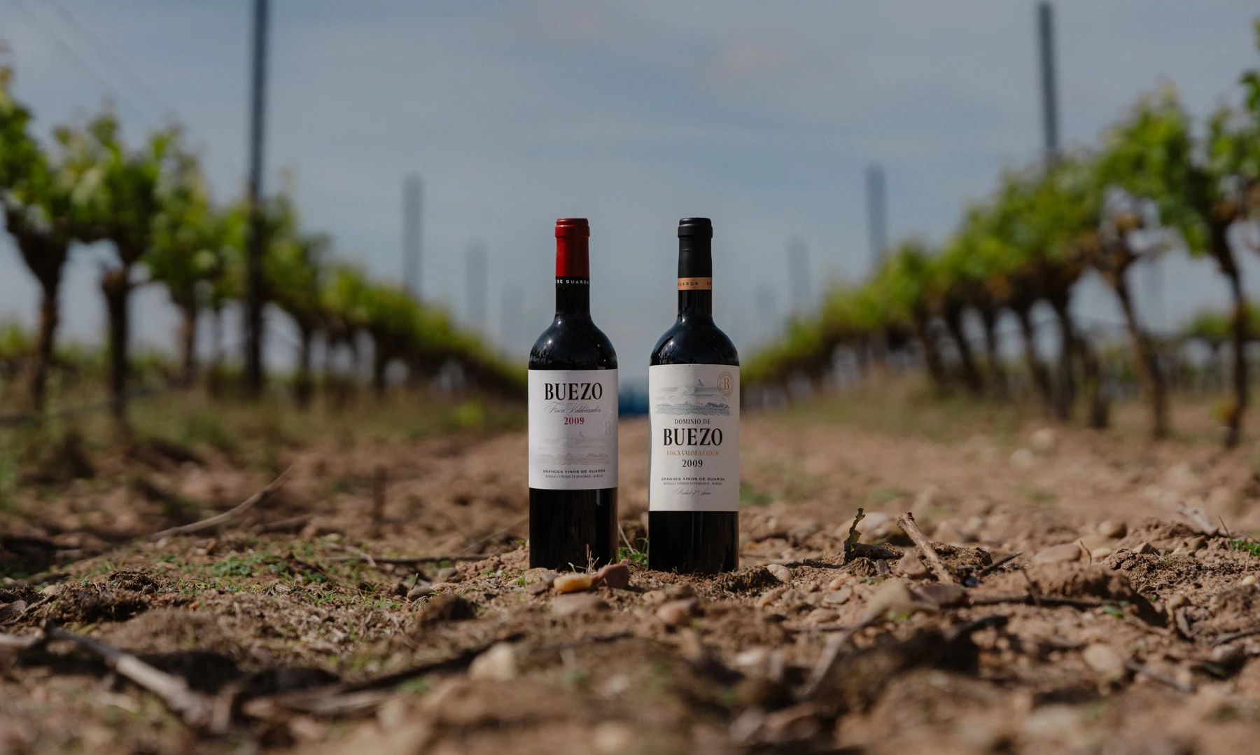 Bodegas Buezo, donde las botellas hablan de la lentitud del tiempo 0