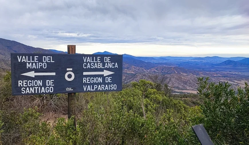 Cócteles 15