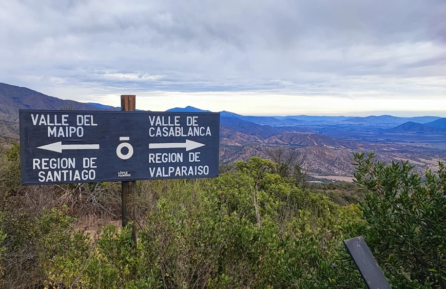 Cócteles 0