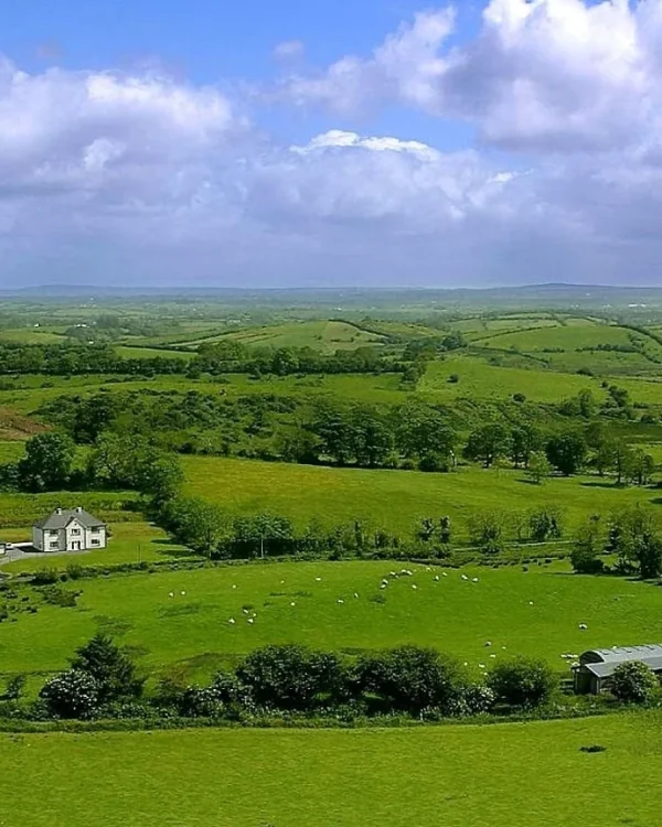 Cócteles 10