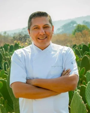 Cócteles 4