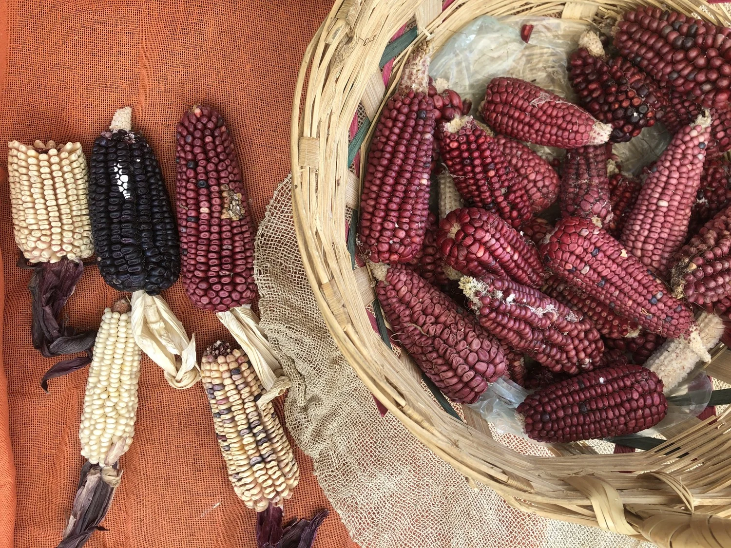 Ruta de la Milpa, la joya escondida de la Ciudad de México 3