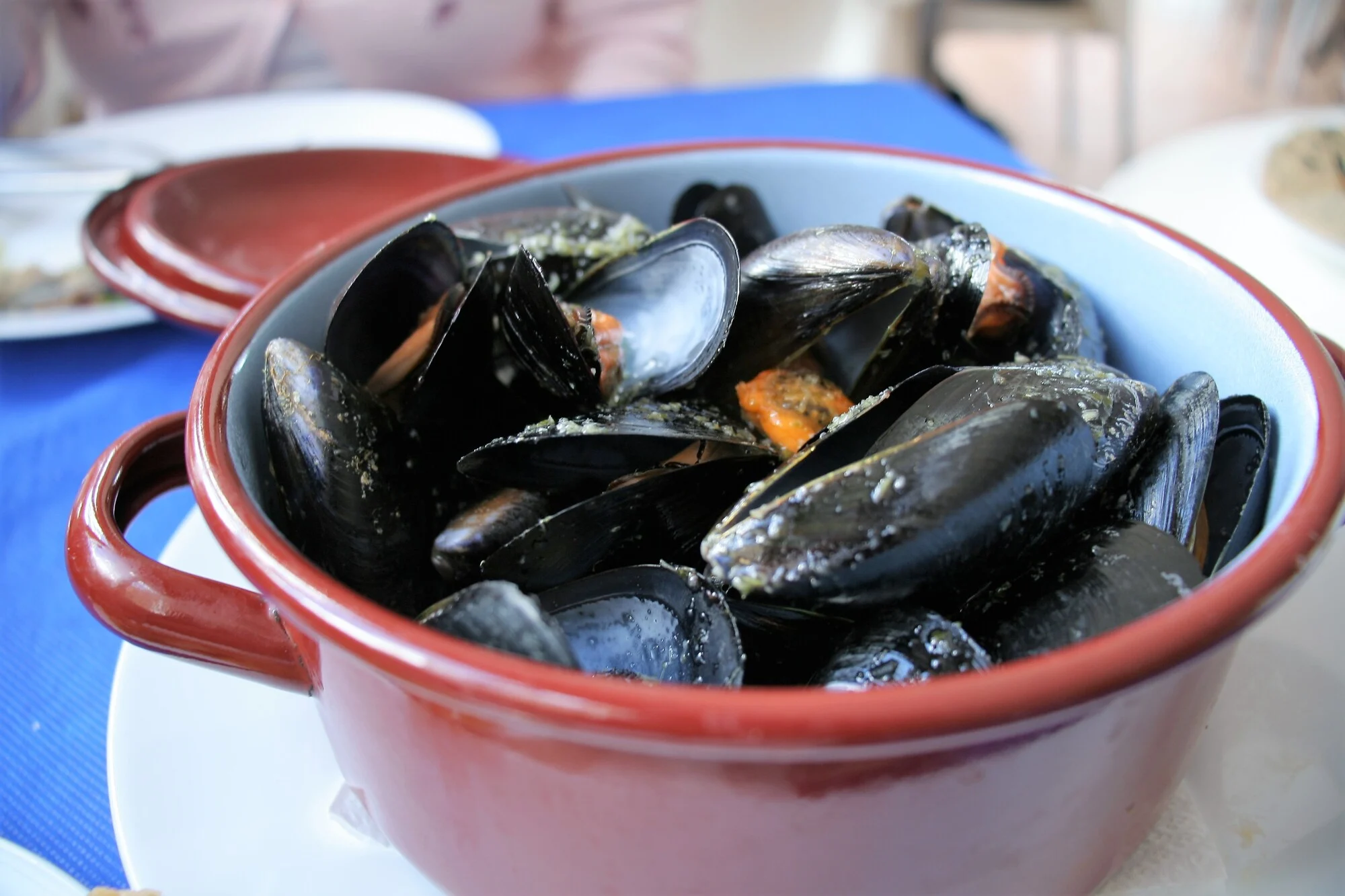 Mi reino por un plato de mejillones 4
