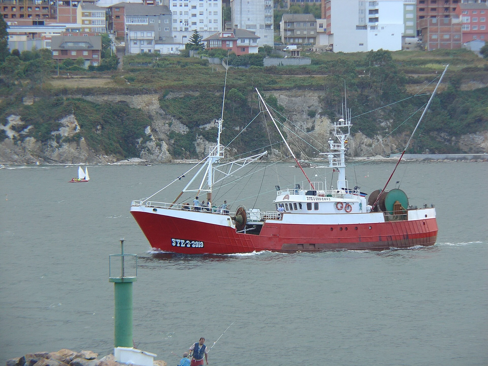 Bonito del norte, el viajero azul que cada verano regresa a casa 1