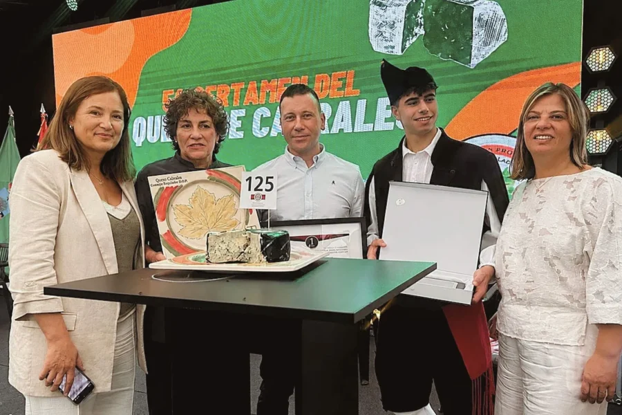 Cervezas 23