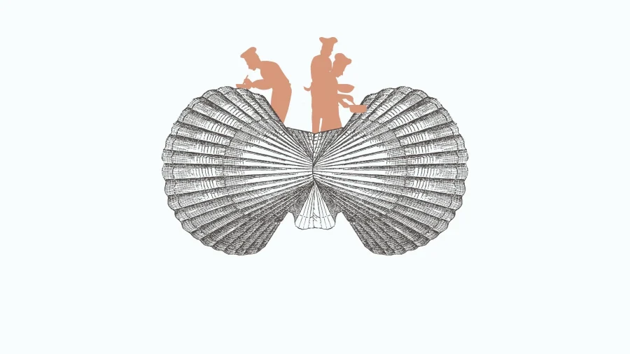 Cócteles 15