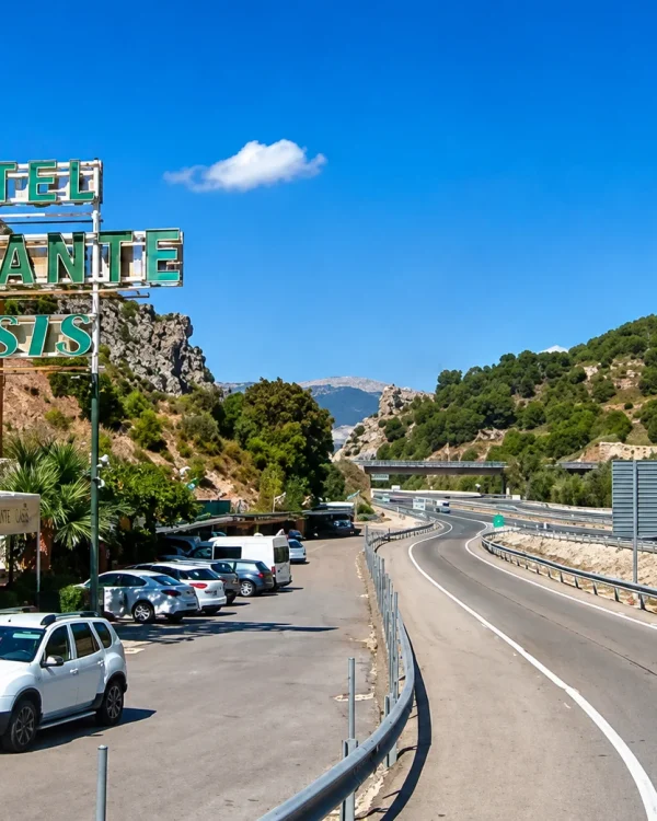 Cócteles 8