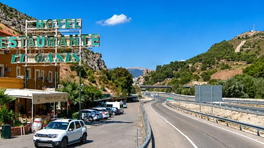 Cócteles 15