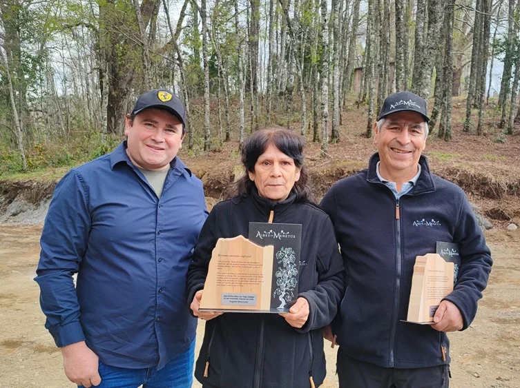 Aires de Menetúe, el viñedo que desafió el frío con agua termal volcánica 6