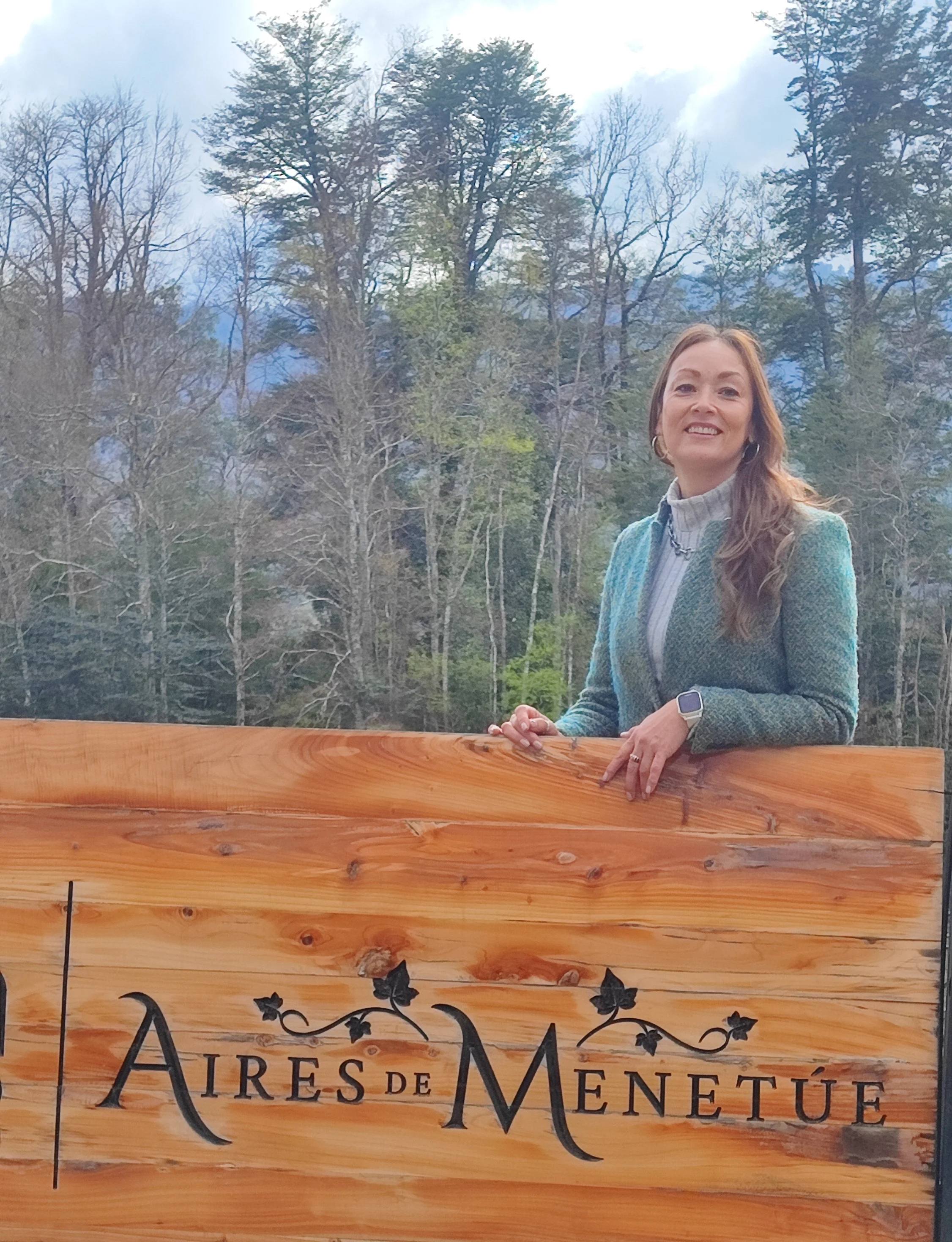 Aires de Menetúe, el viñedo que desafió el frío con agua termal volcánica 4