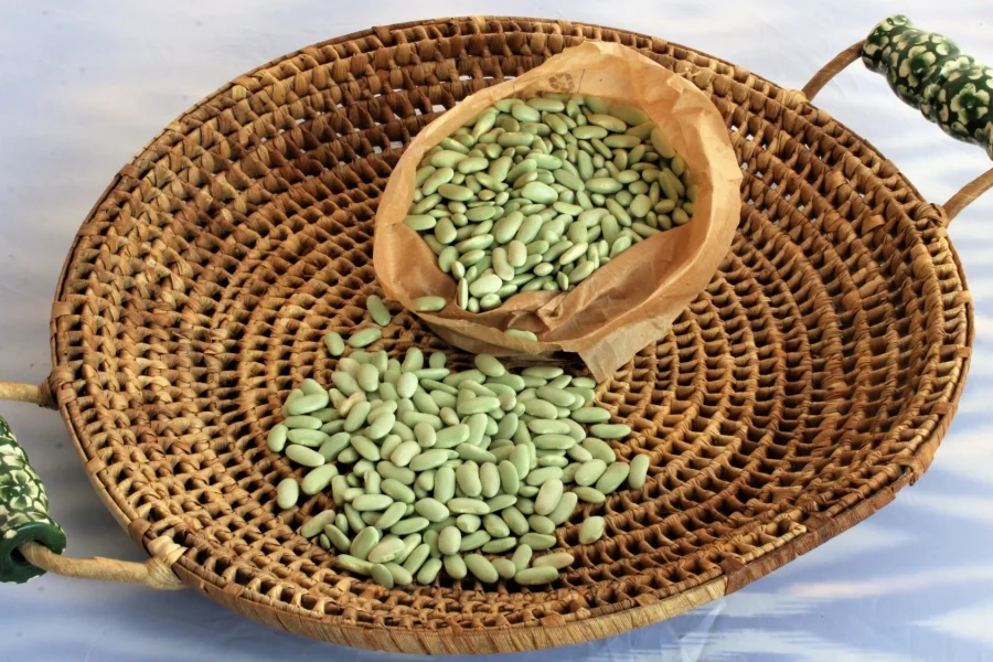 Cervezas 23