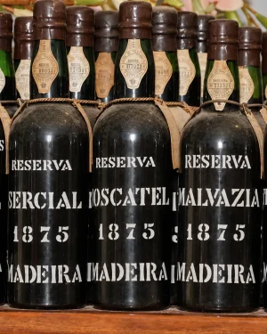 Cócteles 4