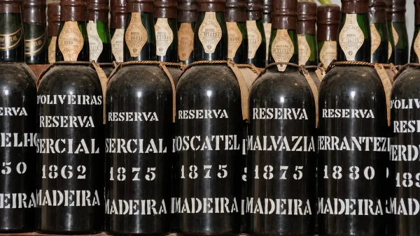 Cócteles 5