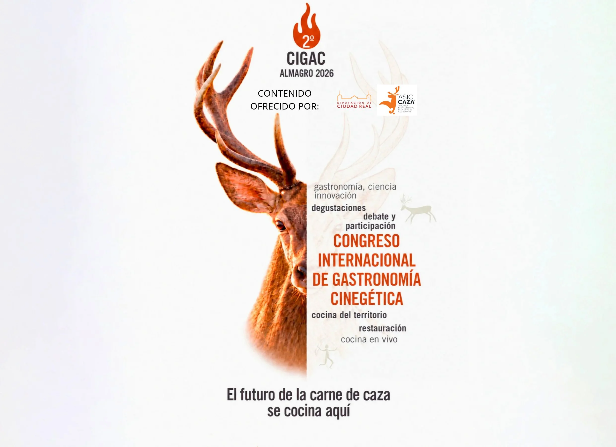 Noticias 4